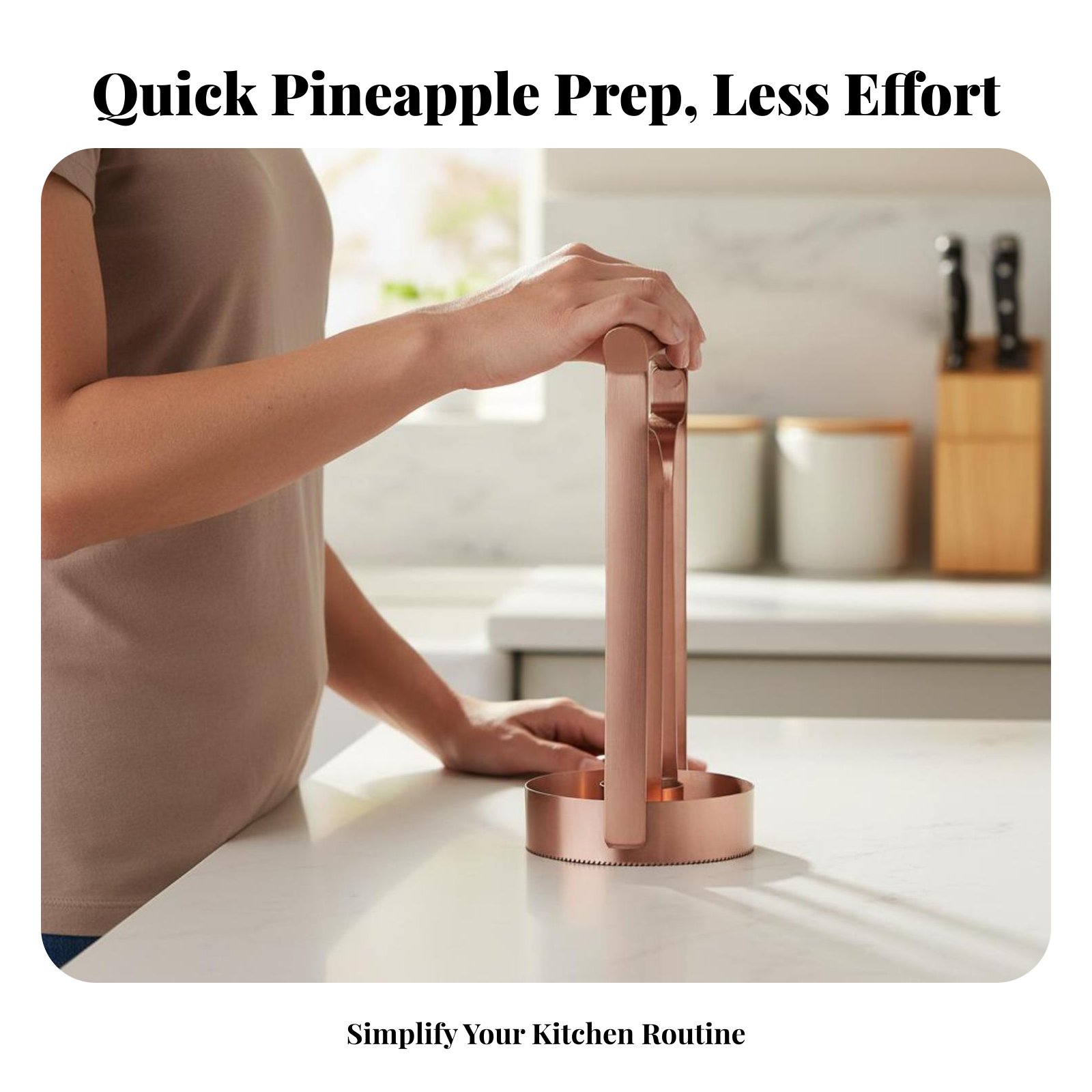 Stainless Steel Pineapple Cutt - Kitchen Gadgets Useful ulasan dan harga