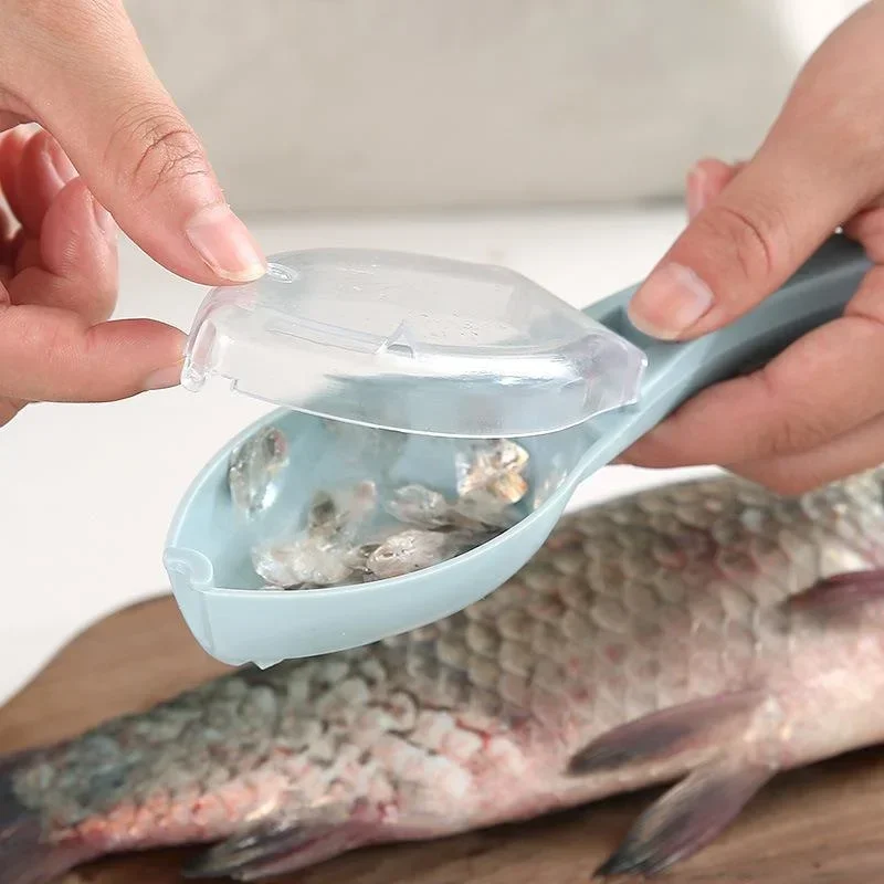 1 buah alat pengikis sisik ika - Kitchen Gadgets Helpful ulasan dan harga